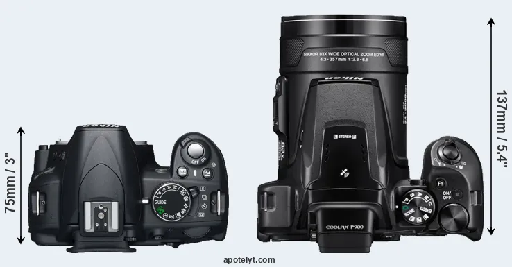 Compare D3100 versus P900 top