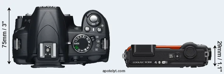 Compare D3100 versus W300 top