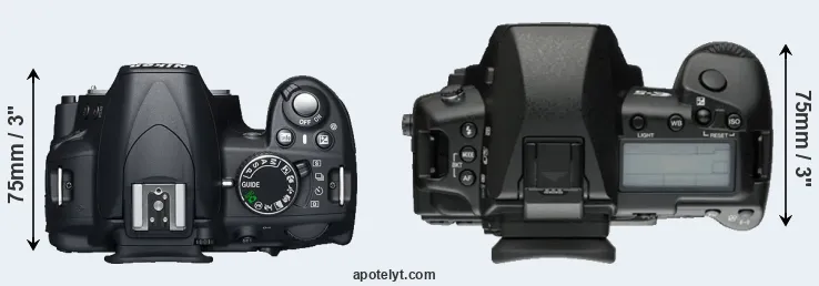 Compare D3100 versus E-5 top