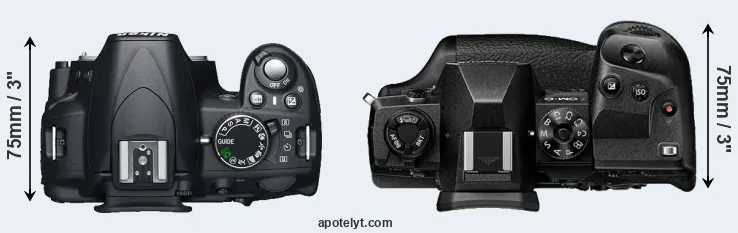 Compare D3100 versus E-M1X top