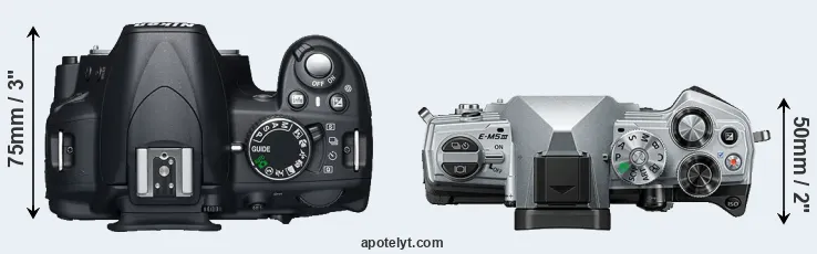 Compare D3100 versus E-M5 III top