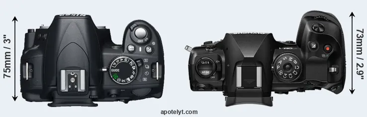 Compare D3100 versus OM-1 top