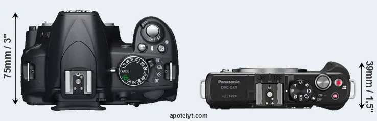 Compare D3100 versus GX1 top