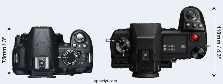 Compare D3100 versus S1H top