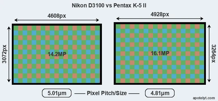 D3100 versus K-5 II MP
