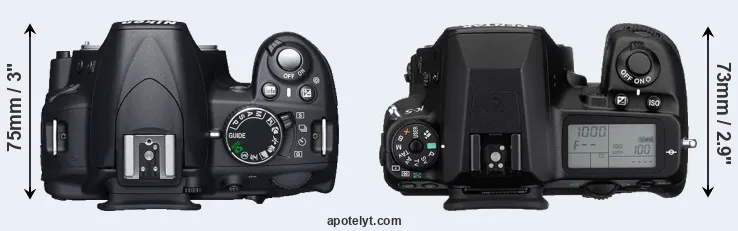 Compare D3100 versus K-5 top