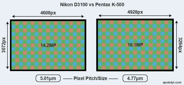 D3100 versus K-500 MP