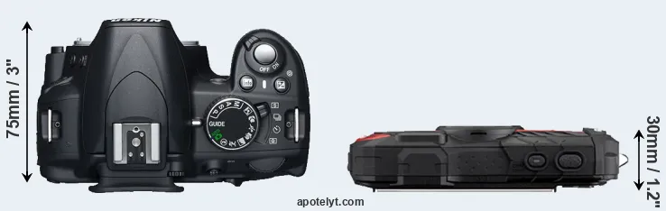 Compare D3100 versus WG-60 top