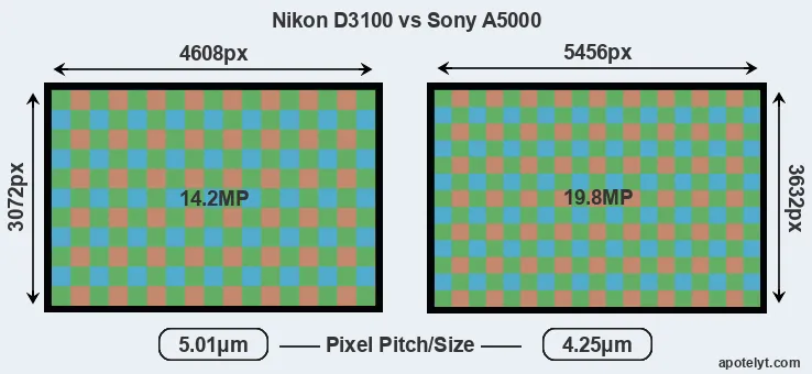 D3100 versus A5000 MP