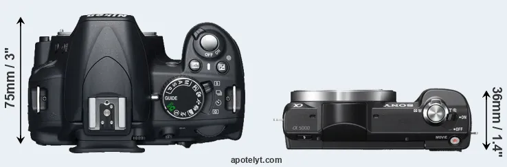 Compare D3100 versus A5000 top