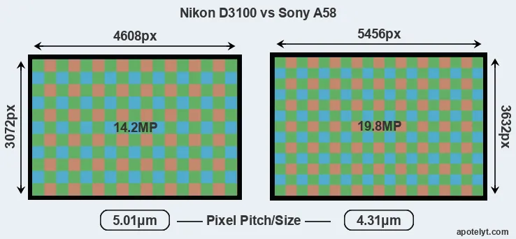 D3100 versus A58 MP
