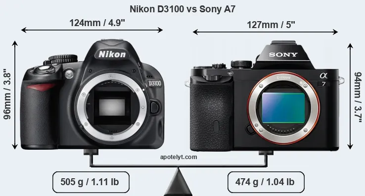 Size Nikon D3100 vs Sony A7