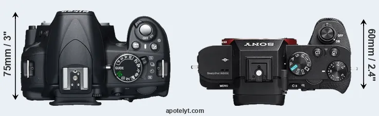 Compare D3100 versus A7 II top