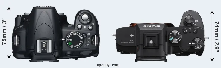 Compare D3100 versus A7 III top