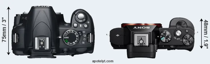 Compare D3100 versus A7 top