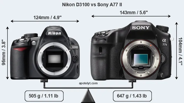 Size Nikon D3100 vs Sony A77 II