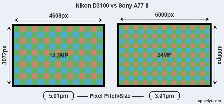 D3100 versus A77 II MP