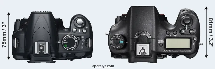 Compare D3100 versus A77 II top