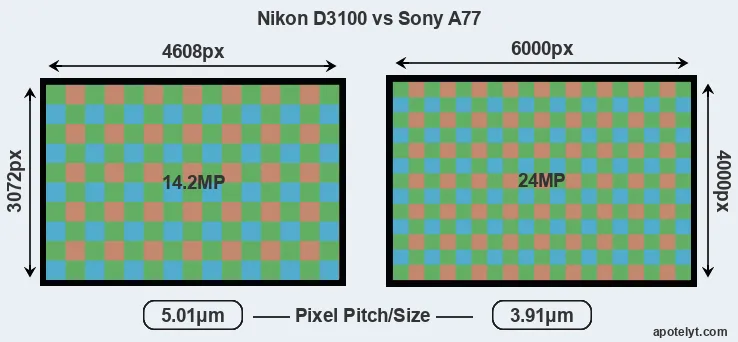 D3100 versus A77 MP