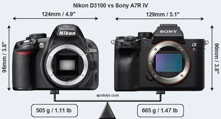 Size Nikon D3100 vs Sony A7R IV