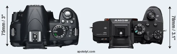 Compare D3100 versus A7R IV top