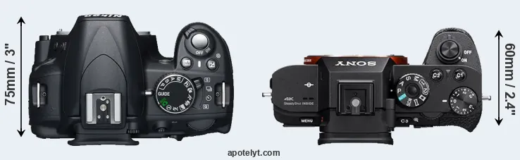 Compare D3100 versus A7S II top