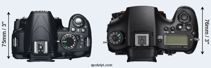Compare D3100 versus A99 II top