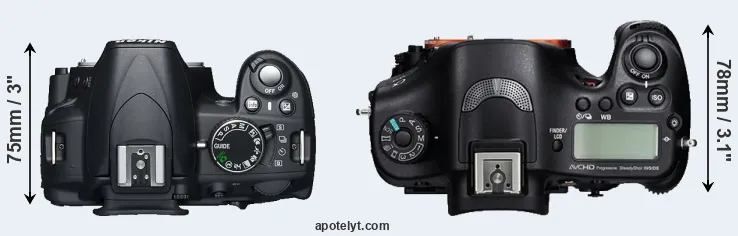 Compare D3100 versus A99 top