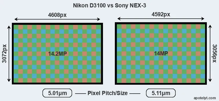 D3100 versus NEX-3 MP
