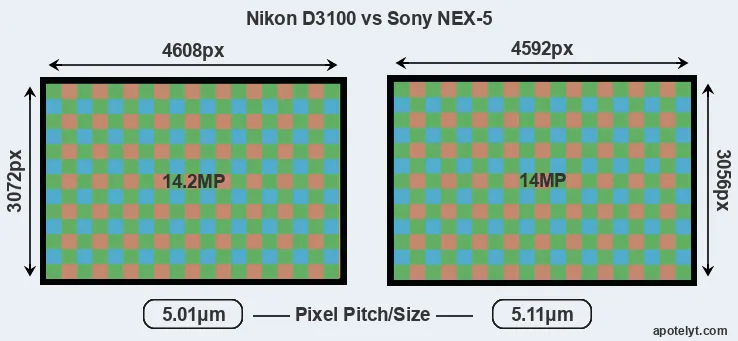 D3100 versus NEX-5 MP