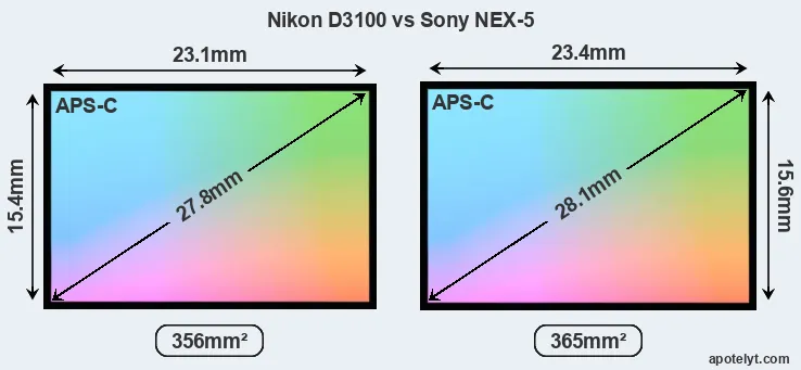 Nikon D3100 and Sony NEX-5 sensor measures