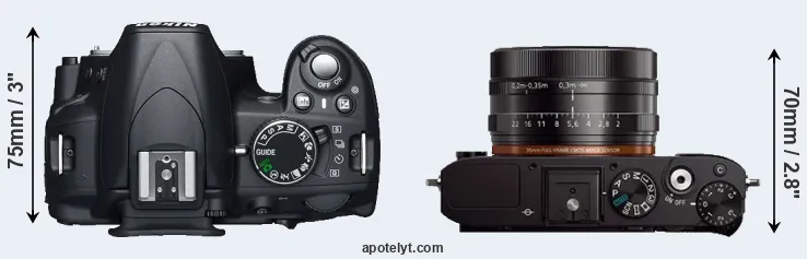 Compare D3100 versus RX1 top