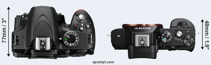Compare D3200 versus A7S top