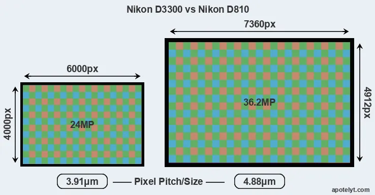 D3300 versus D810 MP