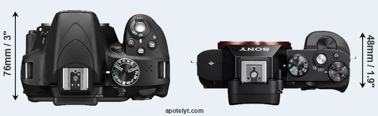 Compare D3300 versus A7R top