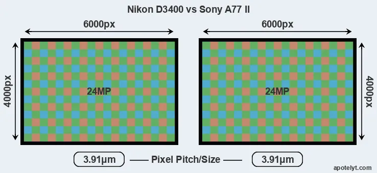 D3400 versus A77 II MP