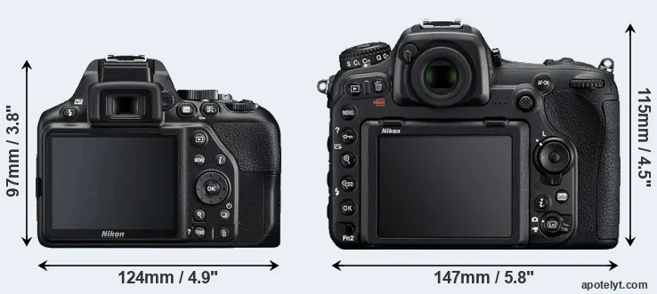 Comparison D3500 or D500 rear