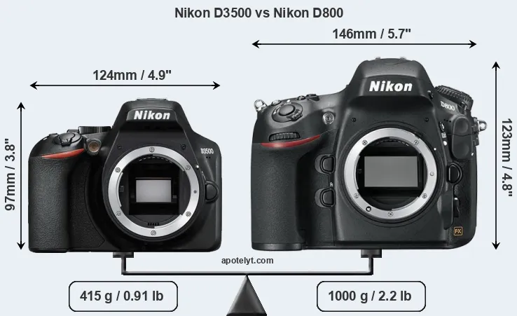 Size Nikon D3500 vs Nikon D800
