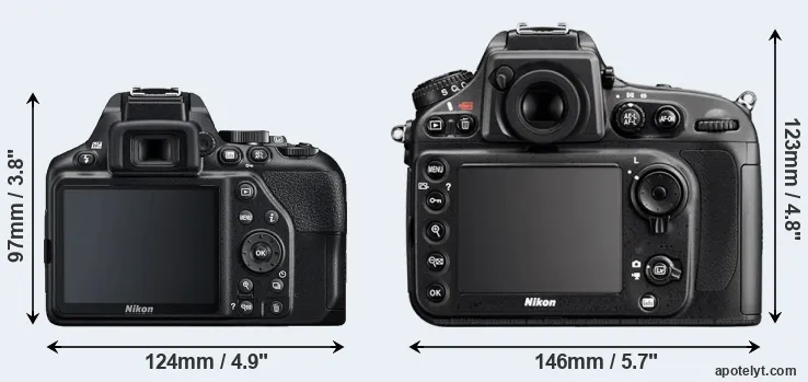 Comparison D3500 or D800 rear