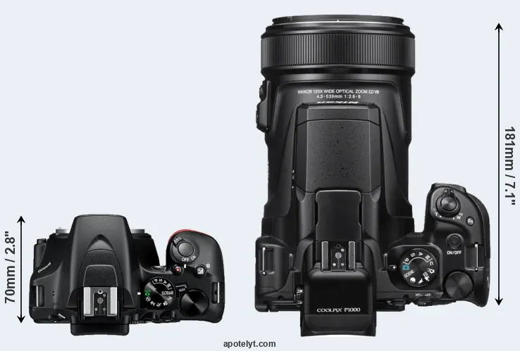 Compare D3500 versus P1000 top