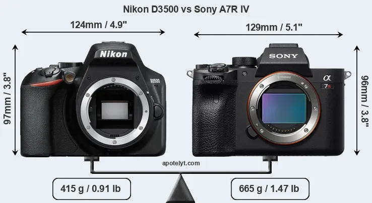 Size Nikon D3500 vs Sony A7R IV