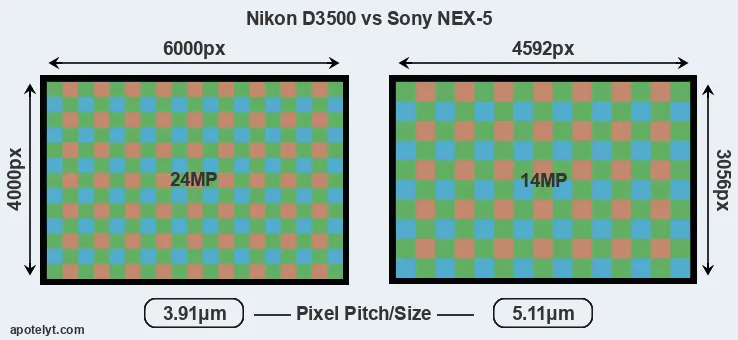 D3500 versus NEX-5 MP