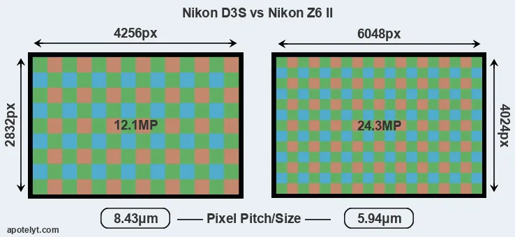 D3S versus Z6 II MP