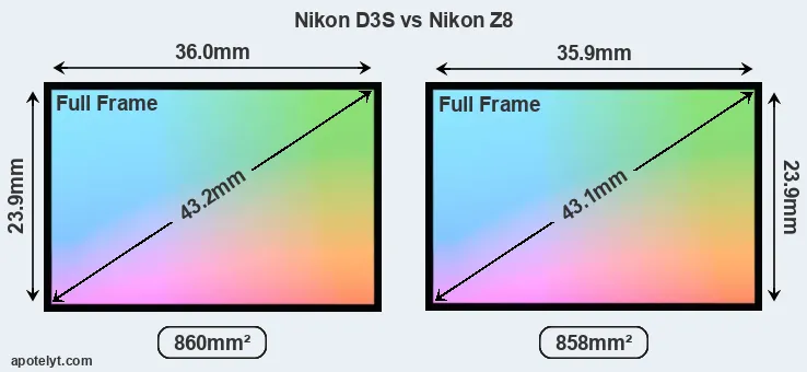 Nikon D3S and Nikon Z8 sensor measures