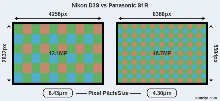 D3S versus S1R MP