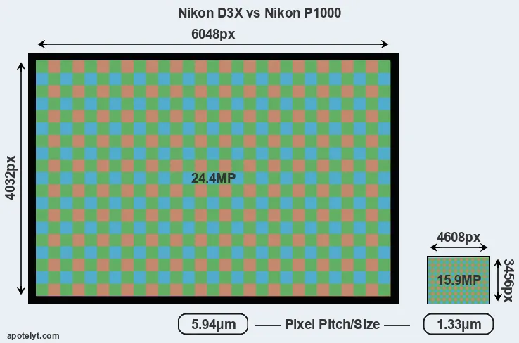 D3X versus P1000 MP