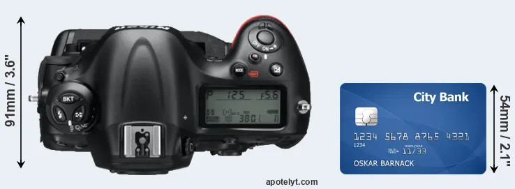D4 versus credit card top view