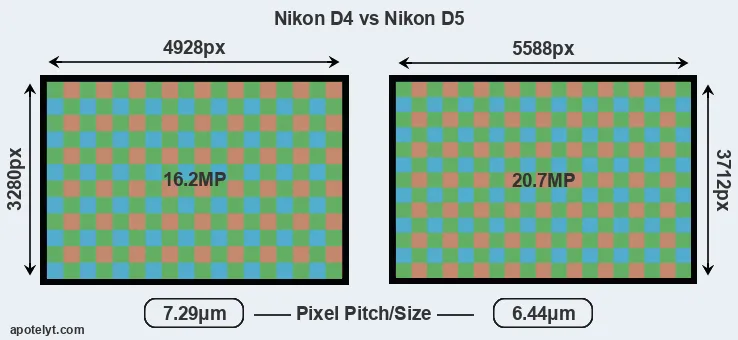 D4 versus D5 MP