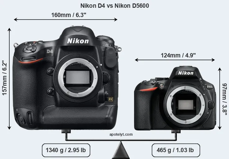 Size Nikon D4 vs Nikon D5600