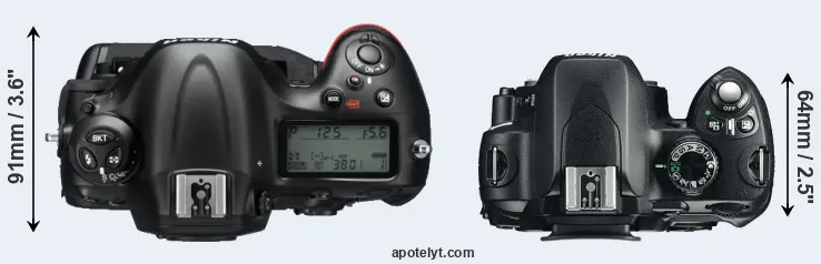 Compare D4 versus D60 top